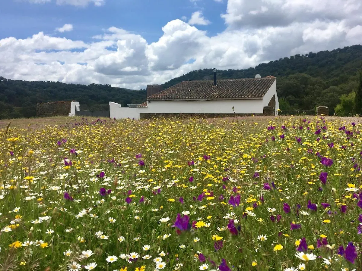Finca Valle Corchoso Cala