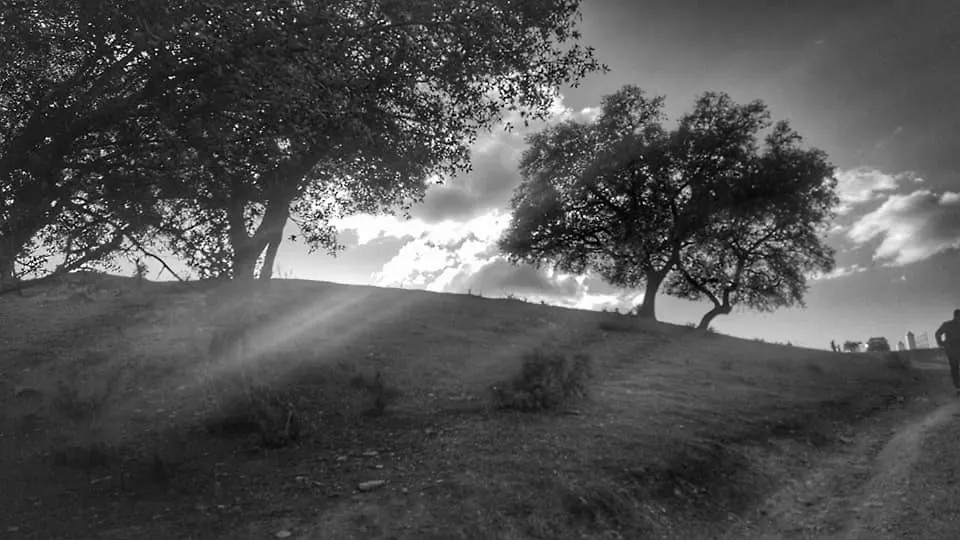 בית כפרי Cala Finca Valle Corchoso ספרד