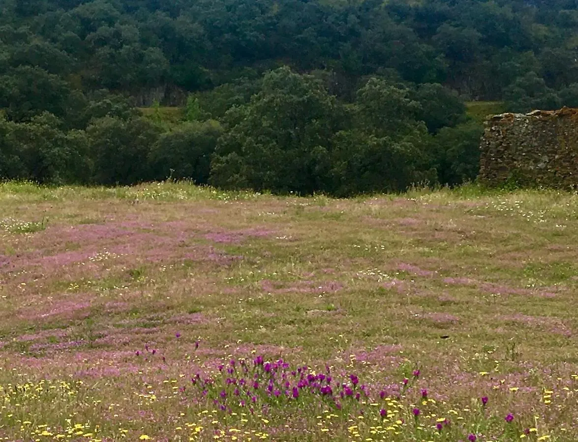 Cala Finca Valle Corchoso 0*,  ספרד