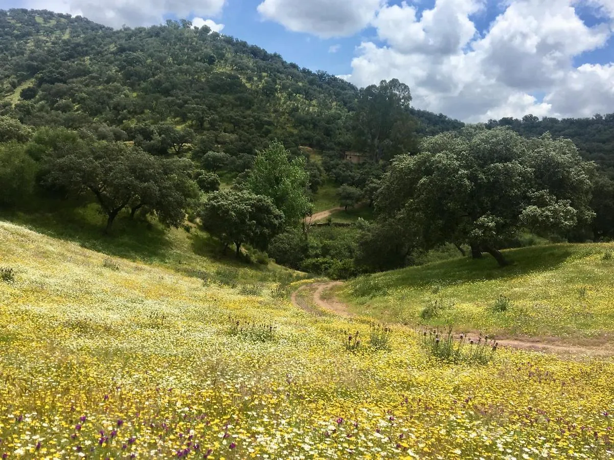 בית כפרי Cala Finca Valle Corchoso