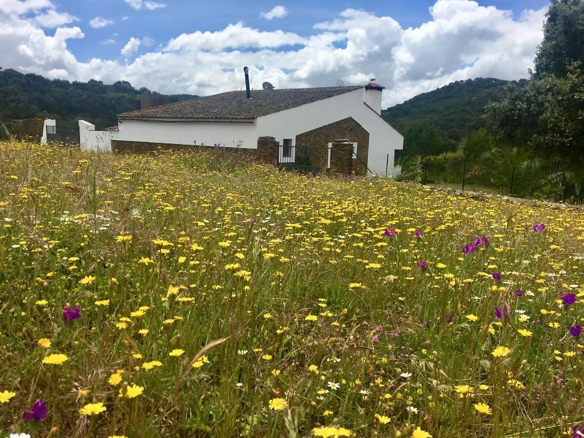 בית כפרי Cala Finca Valle Corchoso