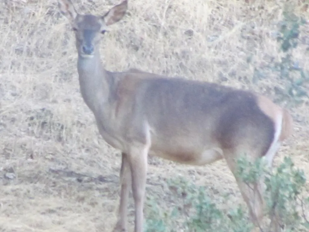 Cala Finca Valle Corchoso בית כפרי