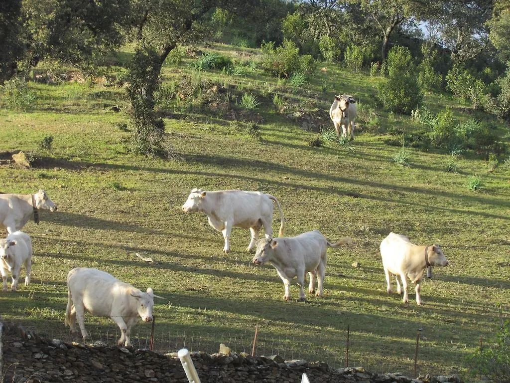 Cala Finca Valle Corchoso 0*,