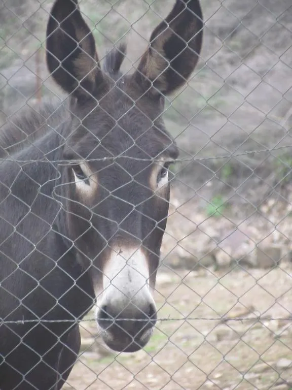 בית כפרי Cala Finca Valle Corchoso